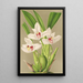 Reproductie van het schilderij Maxillaria grandiflora - Charles Antoine Lemaire