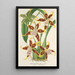 Reproductie van het schilderij Odontoglossum hallii - Charles Antoine Lemaire