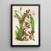 Reproductie van het schilderij Odontoglossum reichenheimii - Charles Antoine Lemaire