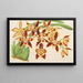 van Odontoglossum luteopurpureum var. sceptrum - Charles Antoine Lemaire — ingelijst kunstwerk aan de muur