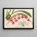 Odontoglossum roseum - Charles Antoine Lemaire — ingelijst kunstwerk aan de muur