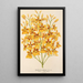 Oncidium aurosum - Charles Antoine Lemaire — ingelijst kunstwerk aan de muur