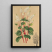 Peperomia resediflora - Charles Antoine Lemaire — ingelijst kunstwerk aan de muur