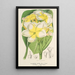 Plumeria lutea - Charles Antoine Lemaire — ingelijst kunstwerk aan de muur