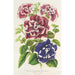 Petunia inimitabilis hybride flore plein - Charles Antoine Lemaire — weergave van het kunstwerk