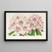 Rhododendron Bijou de Gand hybride - Charles Antoine Lemaire — ingelijst kunstwerk aan de muur