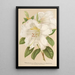 Rhododendron Sesterianum hybride - Charles Antoine Lemaire — ingelijst kunstwerk aan de muur