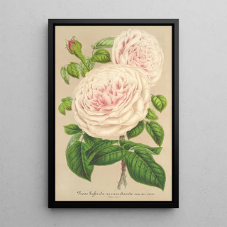Charles Antoine Lemaire - Rose Sur des Anges.webp