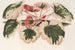 Saxifraga fortunei Hort. angl. var. tricolor - Charles Antoine Lemaire — weergave van het kunstwerk