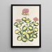 Sedum Sieboldii - Charles Antoine Lemaire — ingelijst kunstwerk aan de muur