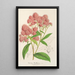 Reproductie van het schilderij Spiraea Nobleana - Charles Antoine Lemaire