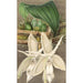 Reproductie van het schilderij Stanhopea eburnea var. spectabilis - Charles Antoine Lemaire
