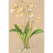 Utricularia montana - Charles Antoine Lemaire — weergave van het kunstwerk