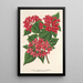 Reproductie van het schilderij Weigelia Middendorffiana var purpurata - Charles Antoine Lemaire
