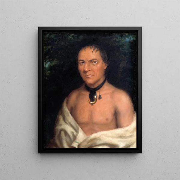 Cosneboin - Charles Bird King — framed artwork on a wall
