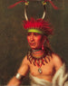 Monchousia White Plume Kansa - Charles Bird King — weergave van het kunstwerk