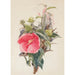 Reproductie van het schilderij Hibiscus - Charles Demuth
