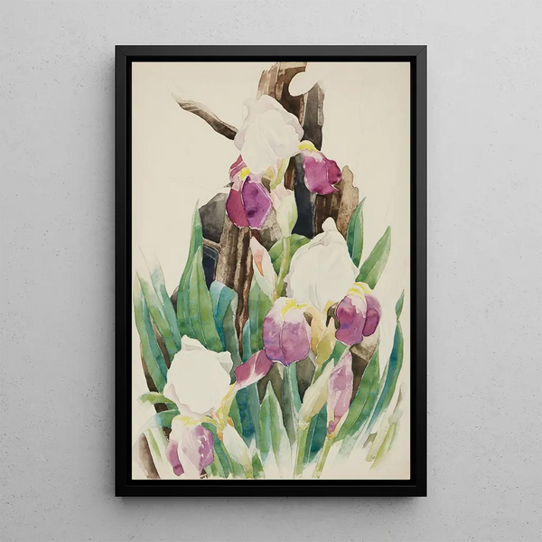 Iris - Charles Demuth — ingelijst kunstwerk aan de muur