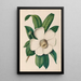Reproduction of the painting of South American tropical flower and fruit drawings Pl25 - Charles Empson
