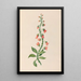 Reproductie van het schilderij Tekening van tropische bloemen en vruchten uit Zuid-Amerika Pl28 - Charles Empson