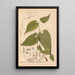 Reproductie van het schilderij Geneeskrachtige planten Pl033 - Charles Frederick Millspaugh