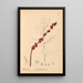 Reproductie van het schilderij Geneeskrachtige planten Pl066 - Charles Frederick Millspaugh