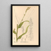 Reproductie van het schilderij Geneeskrachtige planten Pl090 - Charles Frederick Millspaugh