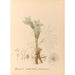 Geneeskrachtige planten Pl094 - Charles Frederick Millspaugh — weergave van het kunstwerk