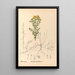 Reproductie van het schilderij Geneeskrachtige planten Pl123 - Charles Frederick Millspaugh