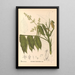 Reproductie van het schilderij Geneeskrachtige planten Pl128 - Charles Frederick Millspaugh