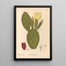 Geneeskrachtige planten Pl154 - Charles Frederick Millspaugh — ingelijst kunstwerk aan de muur