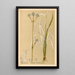 Reproductie van het schilderij Geneeskrachtige planten Pl155 - Charles Frederick Millspaugh