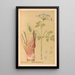 Geneeskrachtige planten Pl161 - Charles Frederick Millspaugh — ingelijst kunstwerk aan de muur
