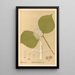 Reproductie van het schilderij Geneeskrachtige planten Pl165 - Charles Frederick Millspaugh