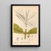 Reproductie van het schilderij Geneeskrachtige planten Pl167 - Charles Frederick Millspaugh