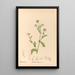 Geneeskrachtige planten Pl177 - Charles Frederick Millspaugh — ingelijst kunstwerk aan de muur