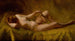 Vanité - Charles Frederick Ulrich — weergave van het kunstwerk