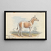 Asinus Onager Cheval - Charles Hamilton Smith — framed artwork on a wall