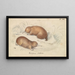 Echidné à long bec - Charles Hamilton Smith — ingelijst kunstwerk aan de muur