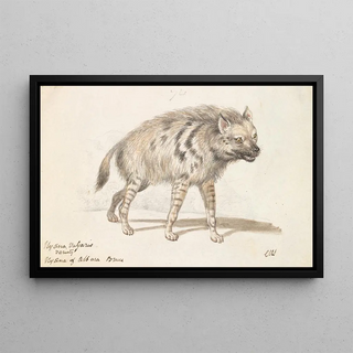 Charles Hamilton Smith - The Hyena of Albara.webp