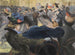 Au bal - Charles Maurin — weergave van het kunstwerk