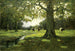 Ruisseau de prairie - Charles Paul Gruppe — weergave van het kunstwerk