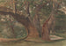 Trees in a landscape - Charles Reginald Aston — artwork view