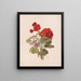 Geranium nr.5 - Charles Ryan — ingelijst kunstwerk aan de muur