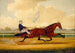 Budd Doble Conduisant Goldsmith Maid aan het Belmont Driving Park - Charles Spencer Humphreys — weergave van het kunstwerk