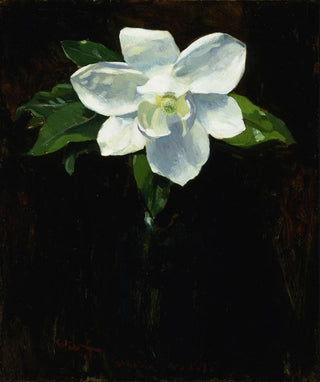 Charles Walter Stetson - Magnolia.webp