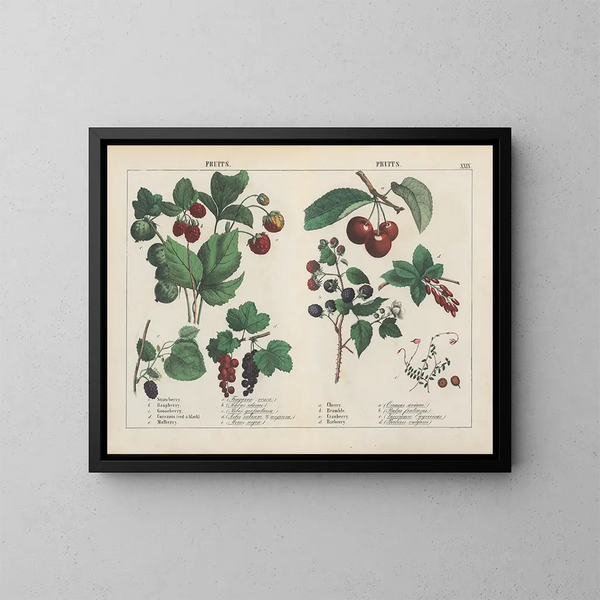 Fruits - Charlotte Mary Yonge — framed artwork on a wall