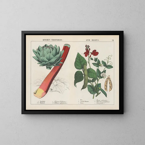 Vegetables and root vegetables of cuisine: artichoke, rhubarb, peas - Charlotte Mary Yonge — framed artwork on a wall