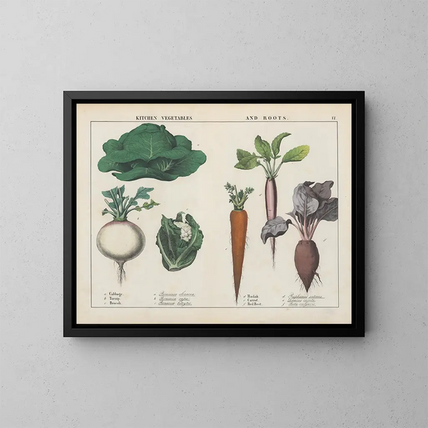 Vegetables and root vegetables of cuisine: cabbage, turnip, broccoli - Charlotte Mary Yonge — framed artwork on a wall