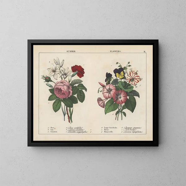 Summer Flowers Painting - Charlotte Mary Yonge — framed artwork on a wall